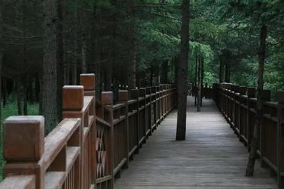 城市管理提質(zhì)增效丨&ldquo;顏值&rdquo;再提升 官鵝溝大景區(qū)掀起環(huán)境衛(wèi)生整治&ldquo;熱潮&rdquo;