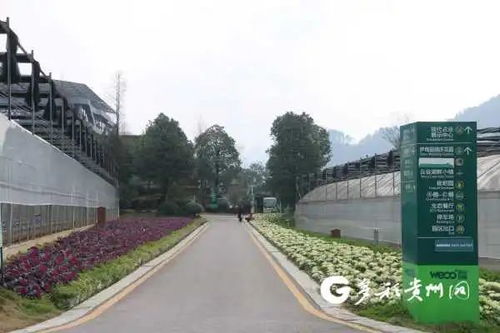 貴州多個景區陸續開園，游覽時園區管理服務與注意事項詳解