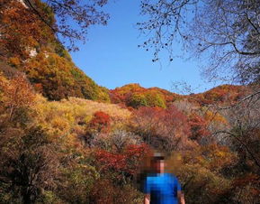 2019平山駝梁風景區游玩全攻略 門票價格、游覽路線、地址與服務詳解